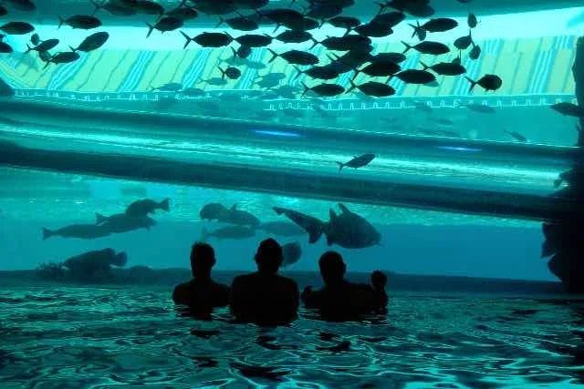 TOP des meilleures piscines à Las Vegas pour nager… ou pas ! 5 Piscine Golden Nugget Las Vegas