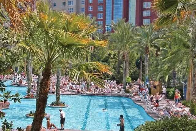 TOP des meilleures piscines à Las Vegas pour nager… ou pas ! 8 Piscine Flamingo Las Vegas