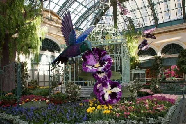 Hotel Bellagio 6 Jardin Botanique